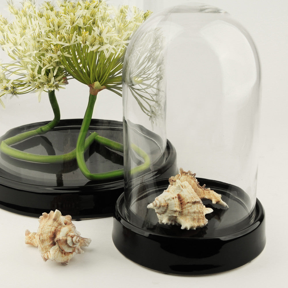 Classic Display Dome - Wholesale Glass Floral Vases, Colorful Flower Vessels in Bulk & Decorative Containers For Florists | Unlimited Containers Inc