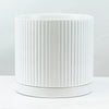 Decorative Ceramic Planters in Bulk | Unlimited Containers | Colorful Pottery Vessels for Flower Shops