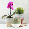 Wholesale Decorative Ceramic Planters | Unlimited Containers | Functional Pottery for Home Decor Industry