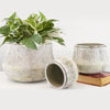 Wholesale Decorative Ceramic Planters | Unlimited Containers | Functional Pottery for Home Decor Industry