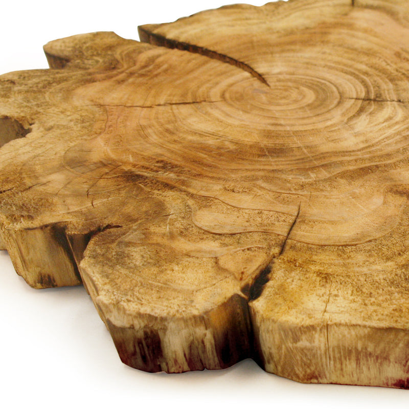 Wood Set Pieces - Wholesale Decorative Wooden Pots & Planters, Wood Columns, Natural Wood Plant Stands, Log Decor Home Accents in Bulk | Unlimited Containers Inc
