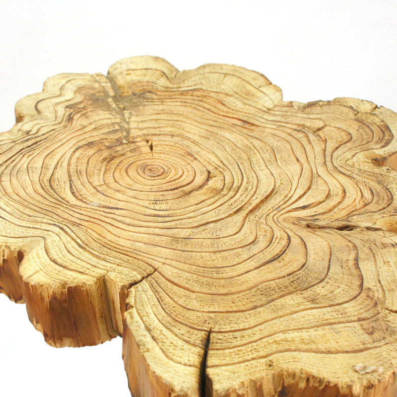 R3981, 82 - Wholesale Decorative Wooden Pots & Planters, Wood Columns, Natural Wood Plant Stands, Log Decor Home Accents in Bulk | Unlimited Containers Inc