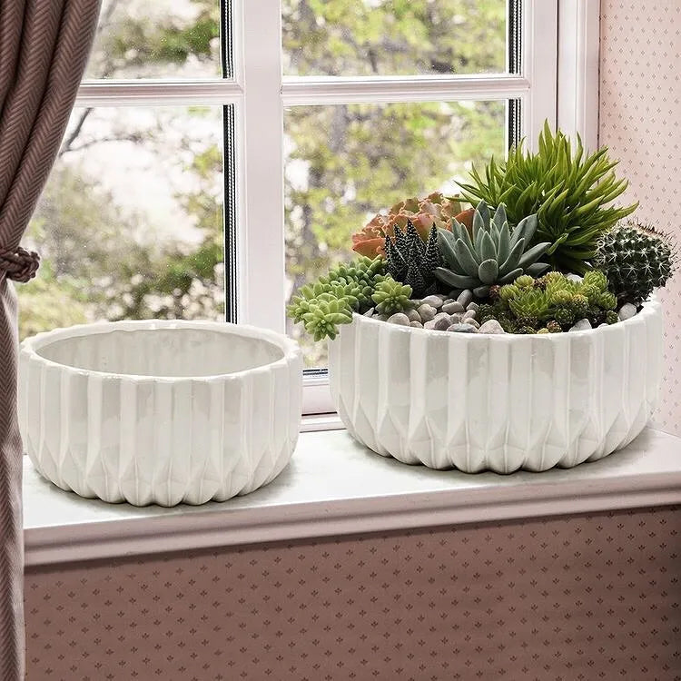 ceramic planters for succulents H-4.5" D-9.75" Paragon Ceramic Planters – Sleek Ceramic Planter, Ideal for Indoor Decor