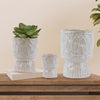 Wholesale Decorative Ceramic Planters | Unlimited Containers | Functional Pottery for Home Decor Industry