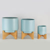 Classic Wood Stand Pots - Modern Ceramic Planters | Unlimited Containers | Wholesale Decorative Ceramic Planters For Florists