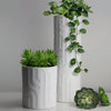 Matte Patterned Vase - Modern Ceramic Planters | Unlimited Containers | Wholesale Decorative Ceramic Planters For Florists