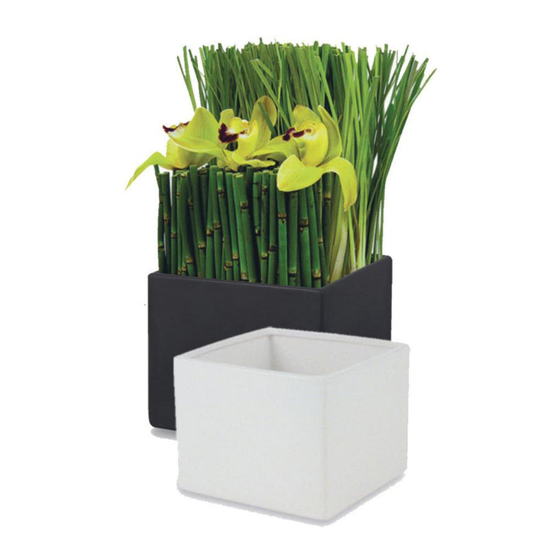 Elegant Ceramic Pots for Plants| Unlimited Containers | Ceramic Planters for Visual Display Industry