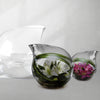 Monaco - Wholesale Glass Floral Vases, Colorful Flower Vessels in Bulk & Decorative Containers For Florists | Unlimited Containers Inc