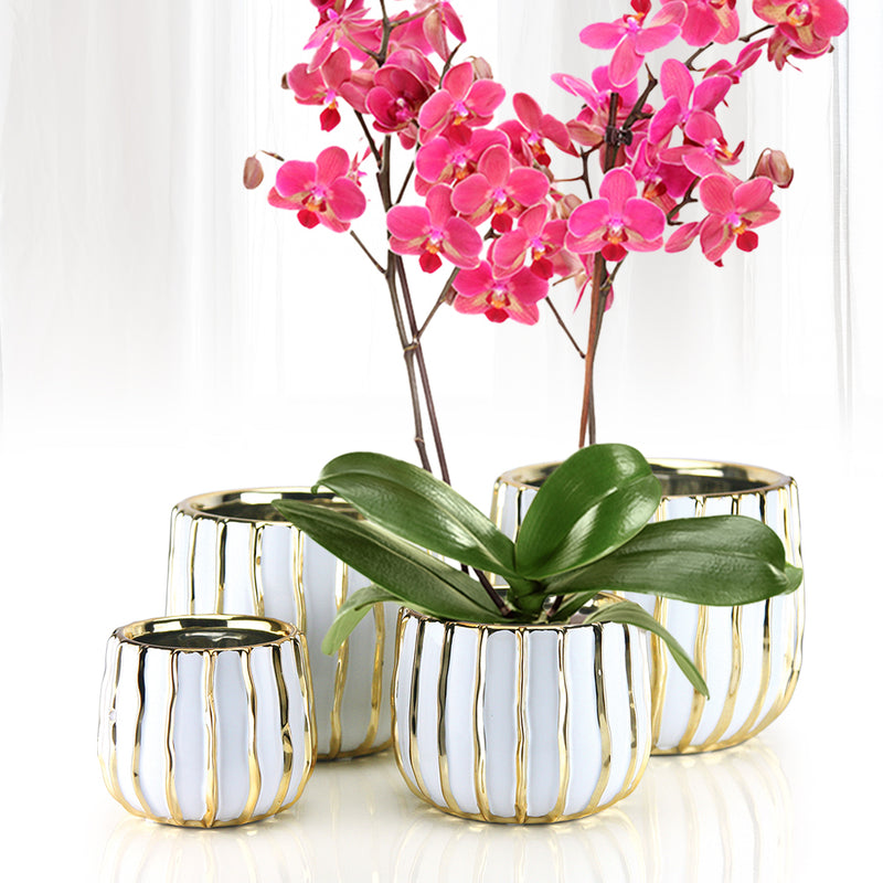 Wholesale Decorative Ceramic Planters | Unlimited Containers | Functional Pottery for Home Decor Industry