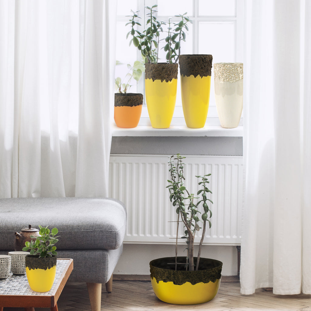Wholesale Decorative Ceramic Planters | Unlimited Containers | Functional Pottery for Home Decor Industry