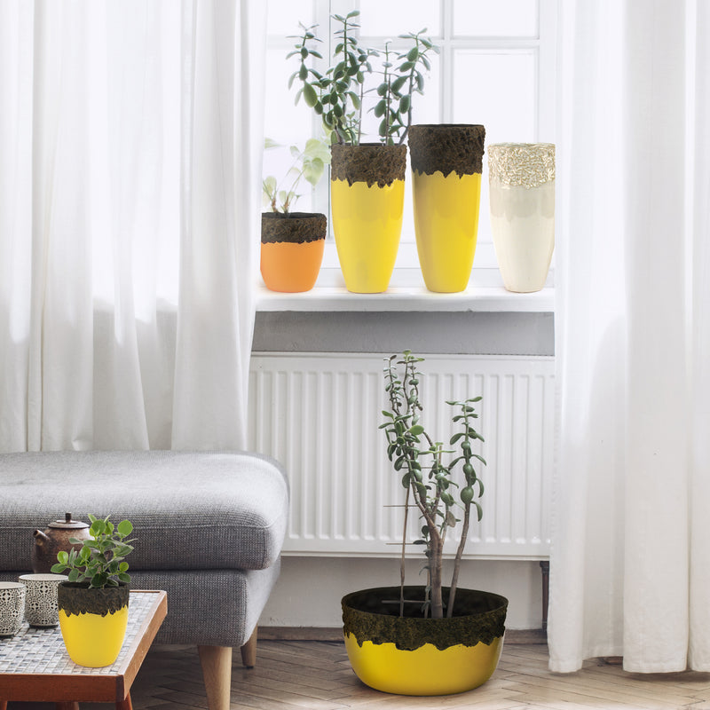 Wholesale Decorative Ceramic Planters | Unlimited Containers | Functional Pottery for Home Decor Industry
