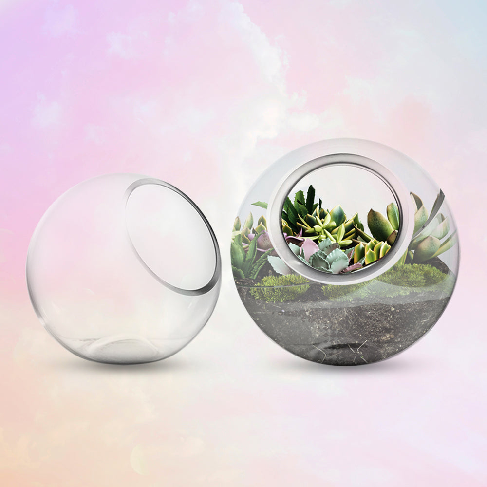 Slant Cut Bubble Bowl Terrarium - Wholesale Glass Floral Vases, Colorful Flower Vessels in Bulk & Decorative Containers For Florists | Unlimited Containers Inc