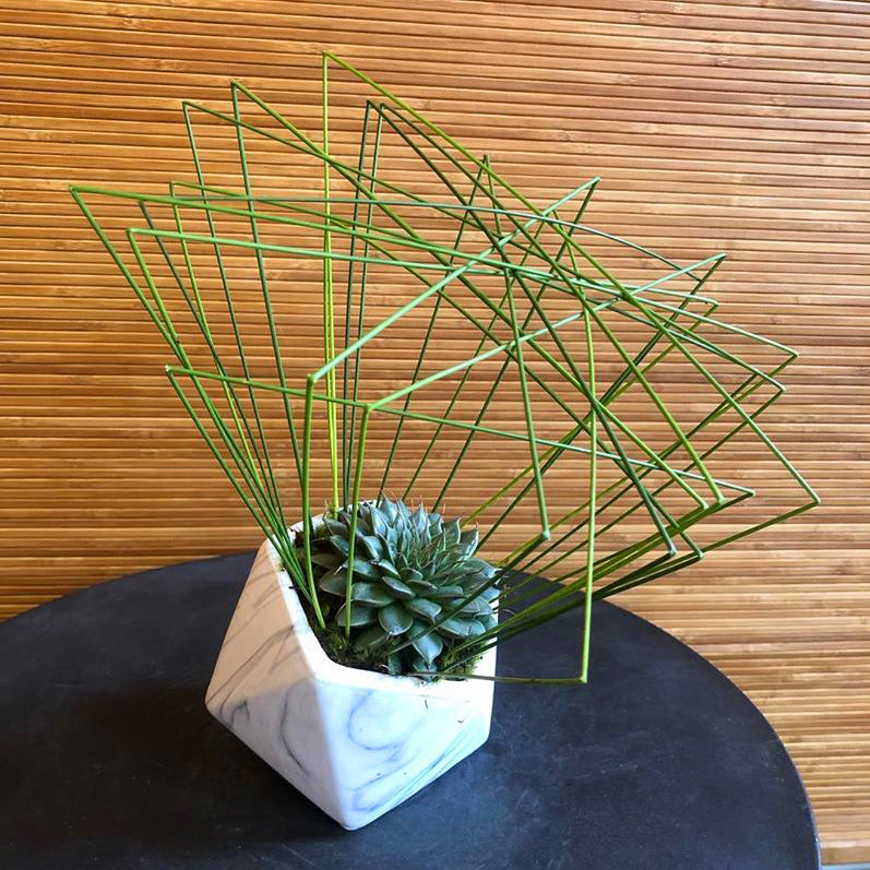 Black and White Marble Collection - Wholesale Ceramic Planters, Bulk Ceramic Pots & Decorative Pottery for Home Decor Industry | Unlimited Containers Inc