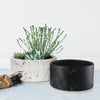 Bulk Decorative Ceramic Pots For Plants | Unlimited Containers | Ornamental Ceramic Containers for Home Decor Industry