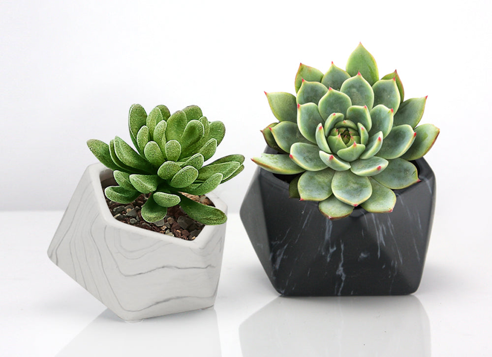 marble succulent pots Indoor Ceramic Marble Planter White / Large by Galore Home