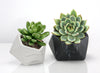 Black and White Marble Collection - Wholesale Ceramic Planters, Bulk Ceramic Pots & Decorative Pottery for Home Decor Industry | Unlimited Containers Inc