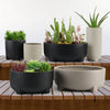 Wholesale Decorative Ceramic Planters | Unlimited Containers | Functional Pottery for Home Decor Industry