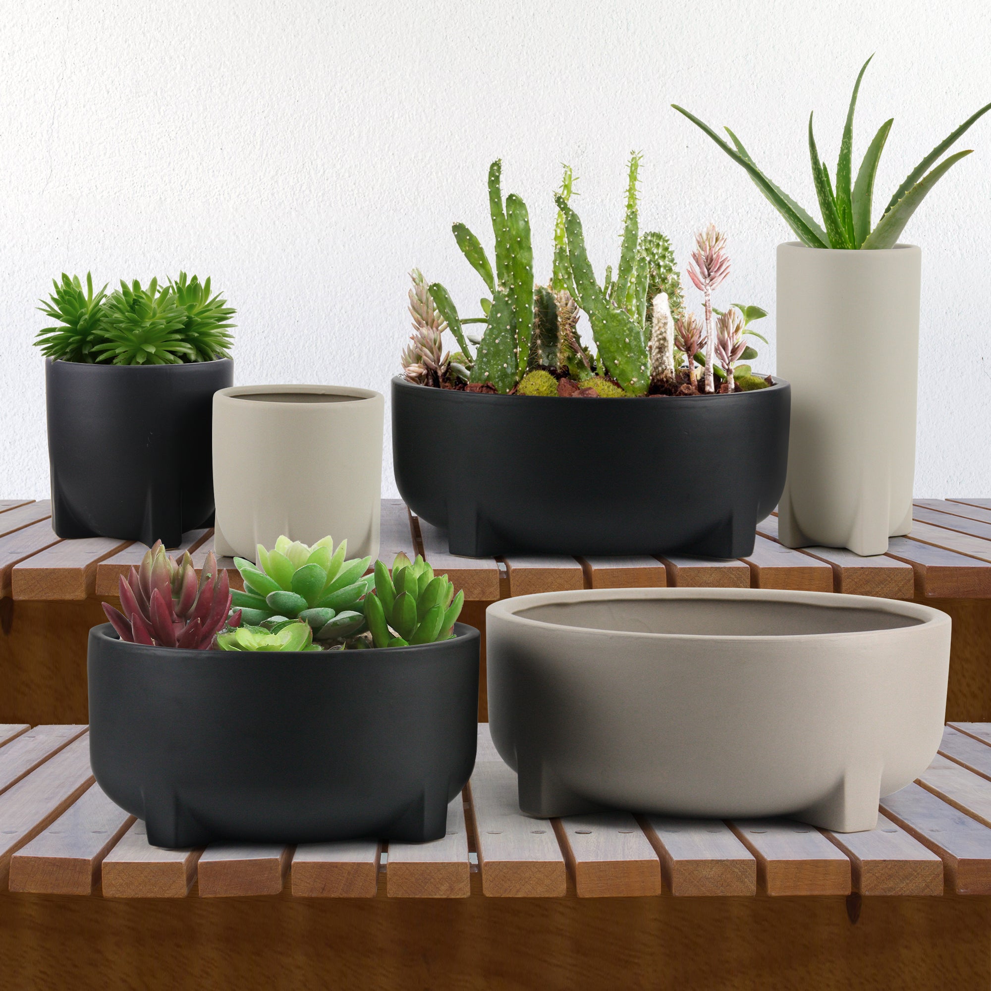 Smooth Organic Ceramic Pot / Planter Collection - Wholesale Case