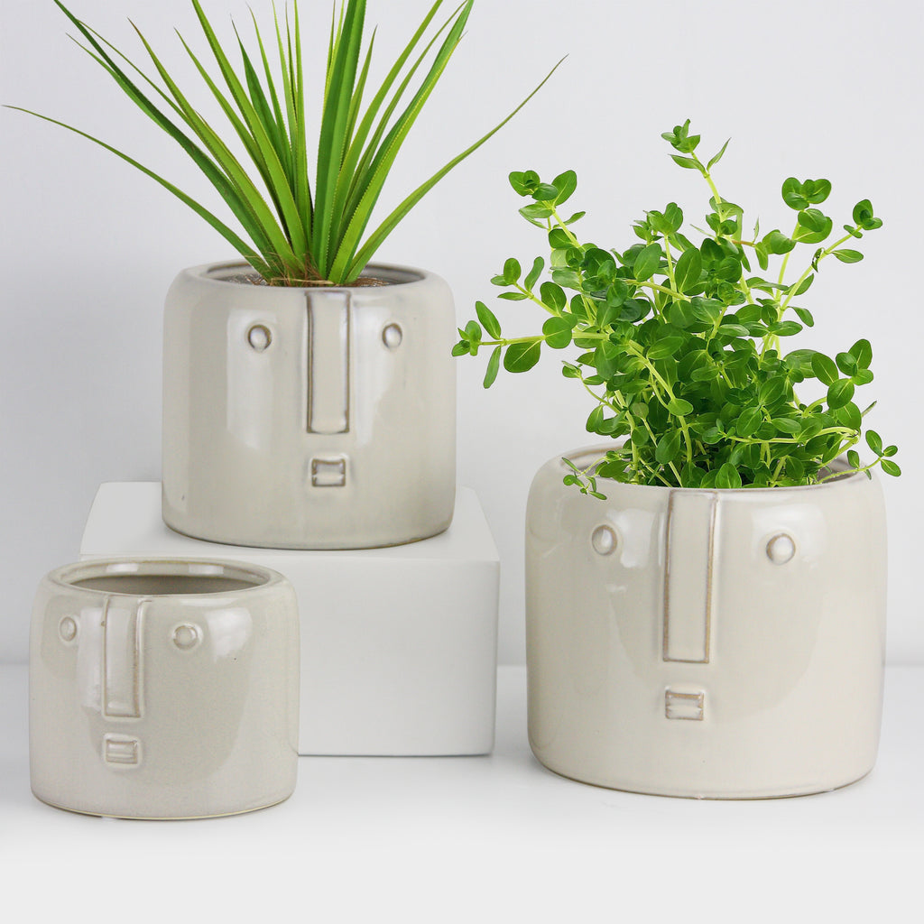 Bewildered Pots - Wholesale Ceramic Planters, Bulk Ceramic Pots & Decorative Pottery for Home Decor Industry | Unlimited Containers Inc