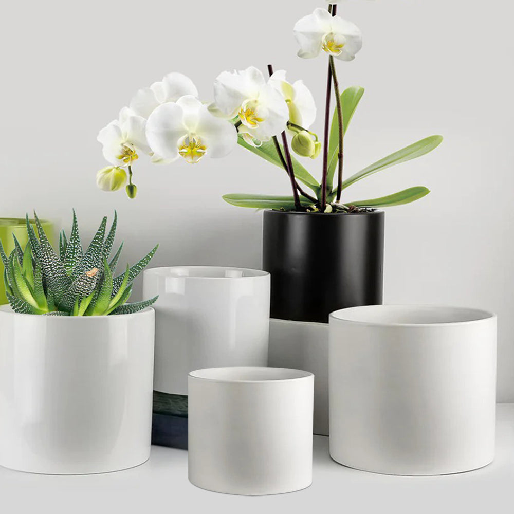 plant pot wholesale 6.5 x 7 inch Ceramic Planter – Container Ceramic, Indoor Plants