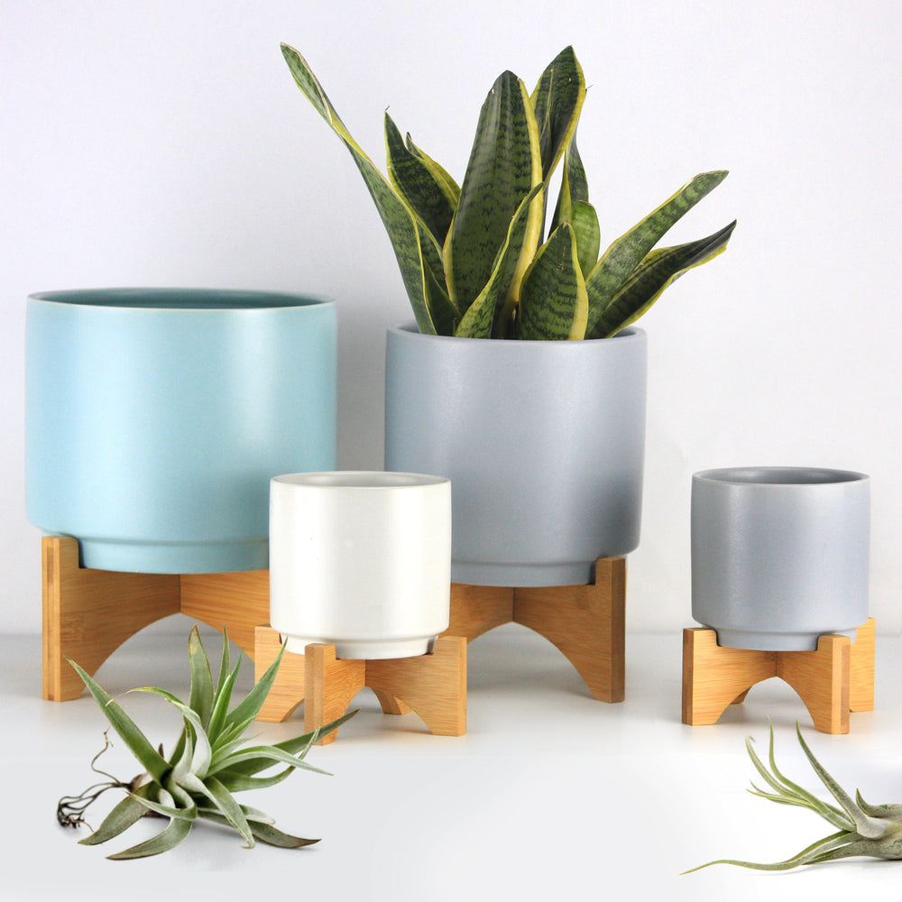 ceramic plant pot with wooden stand Classic Ceramic Pots with Wood Stand Décor