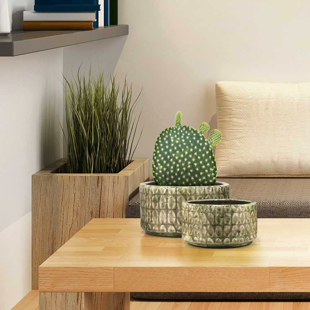 Bulk Decorative Ceramic Pots For Plants | Unlimited Containers | Ornamental Ceramic Containers for Home Decor Industry