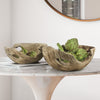 Whimsical Wood Dish and Platter - Wholesale Decorative Wooden Pots & Planters, Wood Columns, Natural Wood Plant Stands, Log Decor Home Accents in Bulk | Unlimited Containers Inc